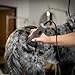 Agrarzone Edition Wahl KM10+ Hundeschermaschine mit Aufsteckkamm-Set - Profi Schermaschine Hund & Katze - Für Groomer & Tierärzte - Leise & vibrationsarm