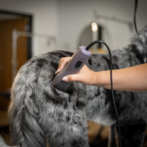 Agrarzone Edition Wahl KM10+ Hundeschermaschine mit Aufsteckkamm-Set - Profi Schermaschine Hund & Katze - Für Groomer & Tierärzte - Leise & vibrationsarm