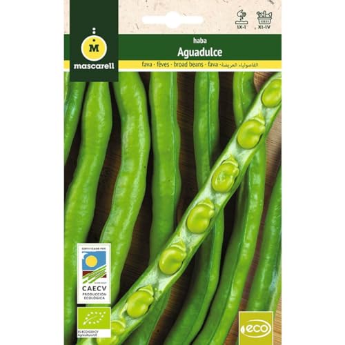 Mascarell Semillas, HABA SUPERAGUADULCE, Semillas Ecológicas, 30 Gramos