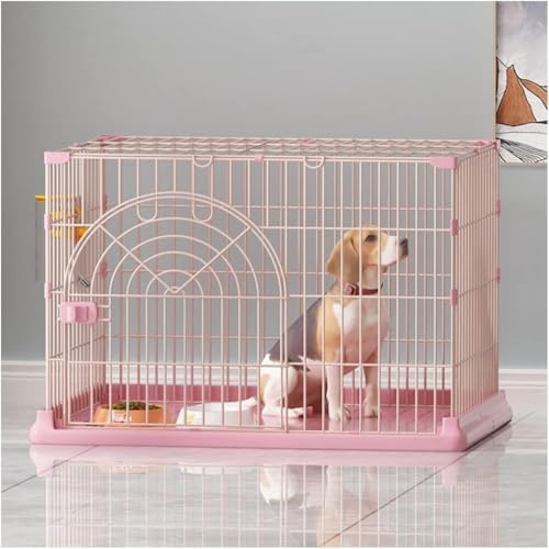 LumoLight^C[ybgLqLtFbg``P[WAvCyN[gGN[W[PlLbgz[OAL̃N[gLbgP[WPlGN[W[vCyẢƂ̃P[W (sN)