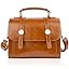 Brown Small Crossbody 1