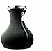 Produktbild Eva Solo 567541 Teebereiter, Glaskaraffe mit Neoprenanzug, Edelstahl, 1 Liter, Schwarz