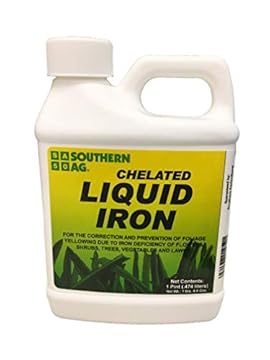 best iron fertilizer for lawn