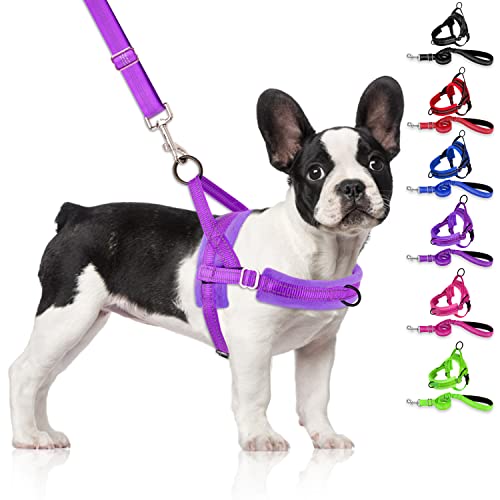 SlowTon Arnés y Correa para Perros Pequeños, Arnés para Perros Sin Tirar el Pecho de Ajuste Rápido, Arnés Acolchado para Perros Suave y Cómodo con Cuerda, Correa Reflectante Ajustable Cover
