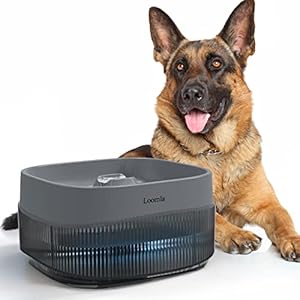 Loomla-Cat-Water-Fountain135oz4L-Dog-Water-Bowl-Dispenser-Automatic-Pet-Water-Fountain-for-Small-to-Medium-Dogs-Cats-Grey Pet Water Fountain for Medium Dogs