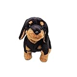 rottweiler cuccioli in regalo sicilia Dimensioni ridotte ideali: misura 27 cm dal naso alla parte posteriore, è un modello leggero e portatile, perfetto for essere trasportato ed esposto con facilità.