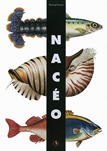 NACEO