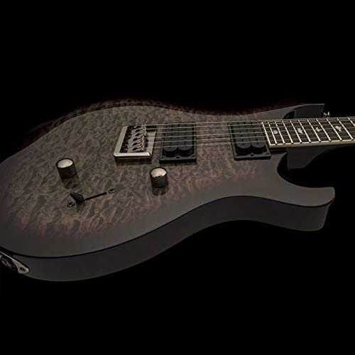 PRS Paul Reed Smith SE Mark Holcomb Guitare électrique avec housse Holcomb Burst - Les Beatles, Paul McCartney, John Lennon, RIngo Starr, George Harrison PRS Paul Reed Smith SE Mark Holcomb Guitare électrique avec housse Holcomb Burst – Image 5