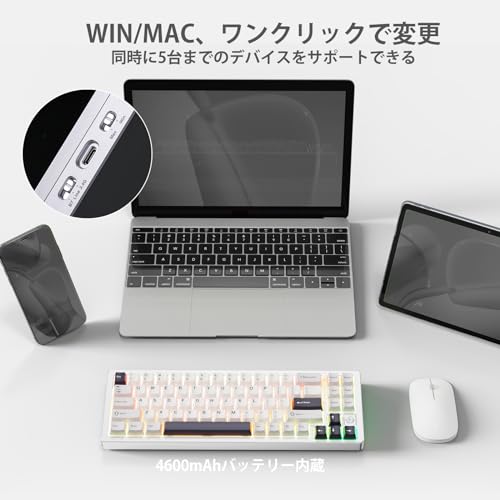 YUNZII AL71 メカニカルキーボード の商品画像 4