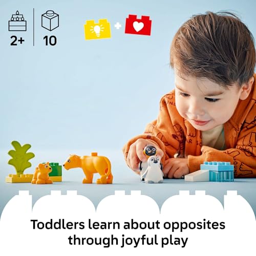 LEGO DUPLO Town Wild Animal Families Penguins & Lions Building Toy Playset - Preschool Learning & Educational Animal Toy for Toddlers, Boys and Girls, Ages 2+ - Baby Gift Ideas - 10442 - Image 3