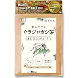 喜保屋 飲みやすい ウラジロガシ茶 