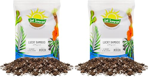 Lucky Bamboo Plant Potting Mix (4 Quarts), Custom Soil Mix