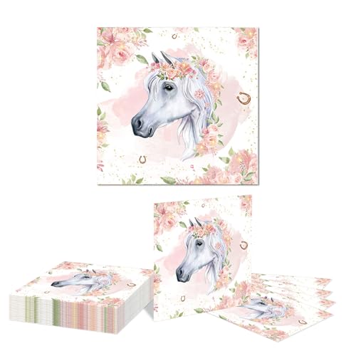 Kotkiddy 20 Piece Horse Birthday Party Supplies Horse Party Gifts Including Party Plates and Napkins Cowgirl Wild Horse Party Birthday Tableware Decorations