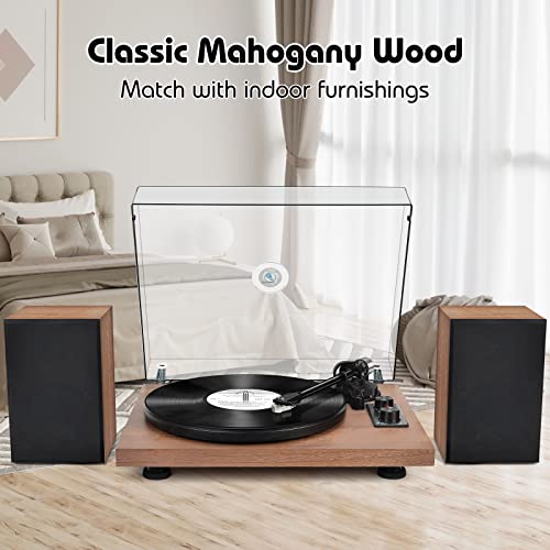 Platine Vinyle Système HiFi Bluetooth, Tourne Disque Vinyle Vintage avec Enceintes d’Etagère, avec Contrepoids Réglable… - Les Beatles, Paul McCartney, John Lennon, RIngo Starr, George Harrison Platine Vinyle Système HiFi Bluetooth, Tourne Disque Vinyle Vintage avec Enceintes d'Etagère, avec Contrepoids Réglable… – Image 8