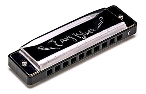Gaita De Boca Harmonica Hering Easy Blues 4420c Dó Iniciante