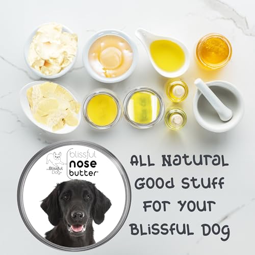Image of The Blissful Dog Flat-Coat Retriever Unscented Nose Butter - Dog Nose Butter, 1 Ounce
