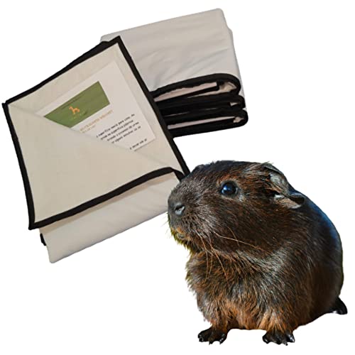 Tapete Higiênico Reutilizável e Lavável para Pets Tam 90 x 50 cm (Borda Sortida)