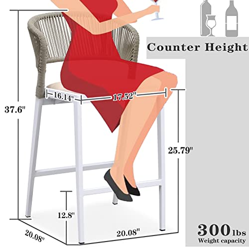 Purple Leaf Counter Height Bar Stool Set Of 2 Modern Aluminum Rattan Wicker Outdoor Barstools With Backrest And Cushion For Kitchen Lawn Pool Bar Chairs White #TOP1