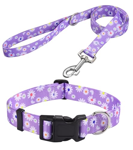 MarukoPet Ensemble collier et laisse réglable pour chiens de petite, moyenne et grande taille, design mignon avec motifs géométriques, floraux, tribaux et bohèmes (ensemble marguerites violettes,