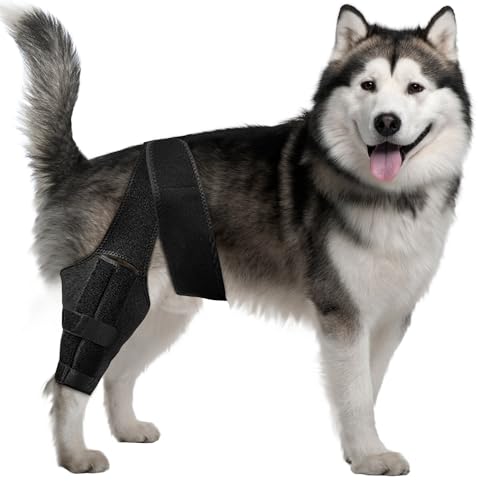 Dog Knee Leg Hip Brace for Dog ACL, Adjustable Canine Shoulder Hip Wraps Dog Arthritis Brace, Dog Leg Brace Maintains Joint Warmth, Patella Dislocation, Osteoarthritis for Back and Front Legs Size L