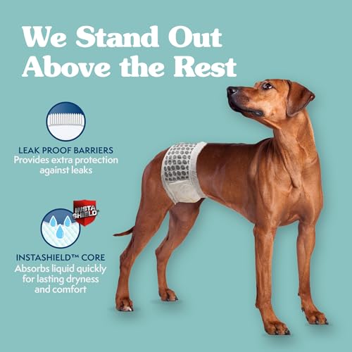 Image of Simple Solution Disposable Male Wraps, Absorbent Leak Proof Belly Bands for Dogs, Incontinence Aid, Puppy Training, Marking Control, and Travel Protection, Toy Dogs, 9-14 Inch Waist, 30 Count