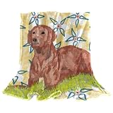 Manta suave y esponjosa para cama doble, manta grande de felpa Rhodesian Ridgeback para perro, 150 x 130 cm, mantas de franela de microfibra para sofá, sillas, cama