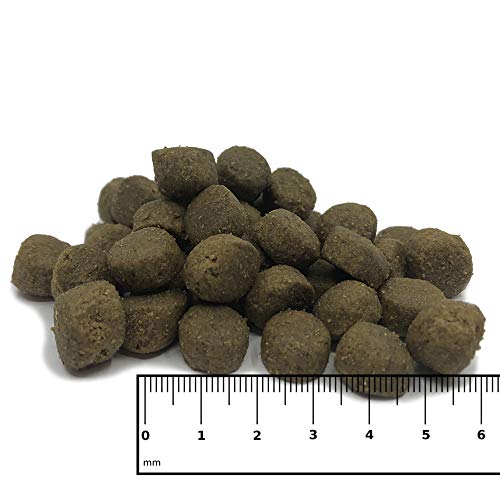ICEPAW Aztec Pure Trockenfutter für Hunde I hypoallergen I mit Lachs, Krill & Amaranth I 14 kg