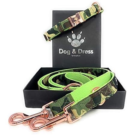 gucci dog collar amazon