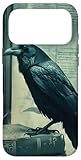 Dark Art Gothic Vogel Krähe Buchliebhaber