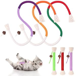 Partideal 6 Stück Kauspielzeug, Katzenspielzeug Selbstbeschäftigung, Katzen Spielzeug, Interaktives Spielzeug für Katzen, Cat Toys für Zahnpflege Zahnreinigung Gegen Mundgeruch Stressabbau (2 Größen)