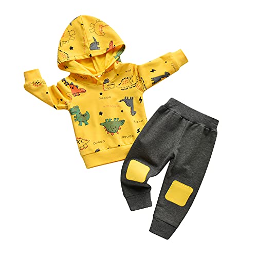 Infant Baby Boys Clothes Sets Little Boy Dinosaur Print Long Sleeve Pullover Hoodie Sweatshirts Tops Pants Set
