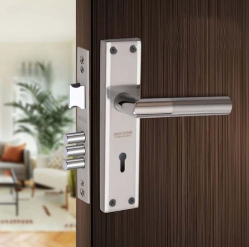 Image of Milton Stainless Steel Mortise Lock Set Capsule T.T. Steel