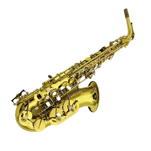 TbNXLbg AgTbNX Eb ^JbLvtFbVi؊ǊyP[XANZT[t (Color : MULTI)