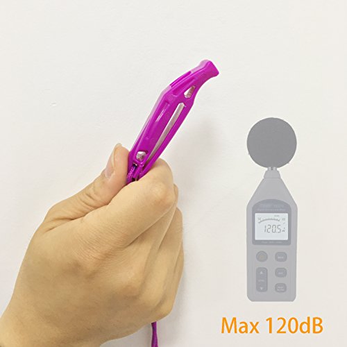 Heimdall Emergency Survival Whistle With Lanyard (2 Pack) For Safety Boating Camping Hiking Hunting Rescue Signaling (Blue, Purple). #TOP3