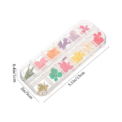 Flores secas naturales para manualidades DIY miniatura 2