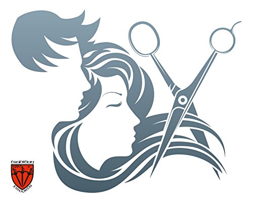 DREI SCHWERTER - Roestvrije professionele kappersschaar in etui, nieuw met kam en doek - Image 6