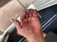 Review Image by Bob Nelson Bob Nelson