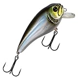 Westin Fat Bite Floating Wobbler Spinnfischen Crankbait Barsch Hecht Forelle Spinnköder Raubfische Barschköder Blueback Herring 5.5cm / 8g / schwimmend / 0.3-0.8m