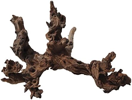 Amtra Madera Mystic Wood – Talla XL 50-70 cm, decoración de Madera Natural para acuarios, Tronco Natural Ornamental, Accesorio Decorativo para terrarios