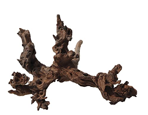 Amtra Legno Mystic Wood - Größe XL 50-70 cm, Dekoration aus Naturholz für Aquarien, Naturstamm Ornament, Dekoration für Terrarien