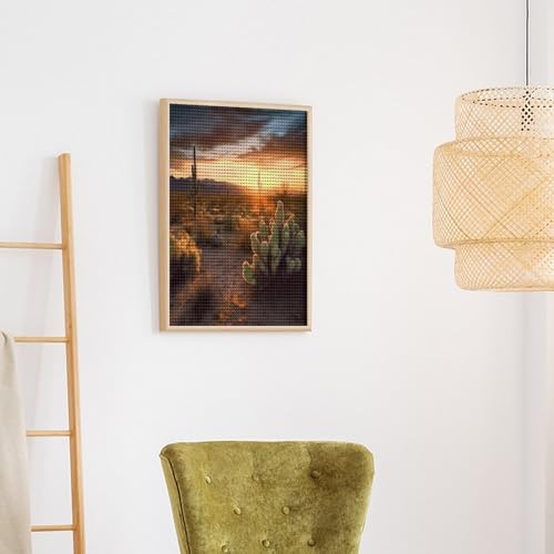Kits de arte de diamantes FekiLoot de cactus y desierto para adultos principiantes 6