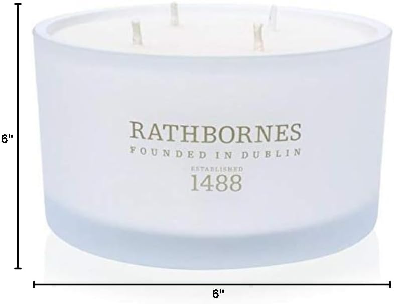 Cedar Cloves & Ambergris Woody Oriental Scented Candle Four-Wick Luxury Candle 390g