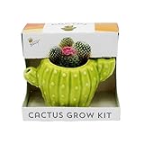 BUZZY Seeds 4pk Mini Cactus Grow Kit with Ceramic Planter, Succulent Seeds, Growing Medium, Easy Instructions, Indoor Gardening Gift for Beginners, Birthdays, Housewarming and Home or Office Décor