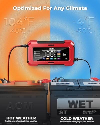 Image of REHTRAD Fully Automatic Car Battery Charger 6A 6V /12V，Battery Charger for Car and Bike,Suitable for Most Battery Types, Including Calcium, Gel, AGM, Wet Lead-Acid Batteries