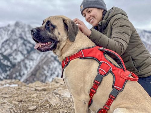 Image of Tuff Pupper Escape Proof No Escape Dog Harness | 5 Point Adjustable Fit Harness for Dogs | Padded Dog Harnesses | Handle Dog Lift Harnesses