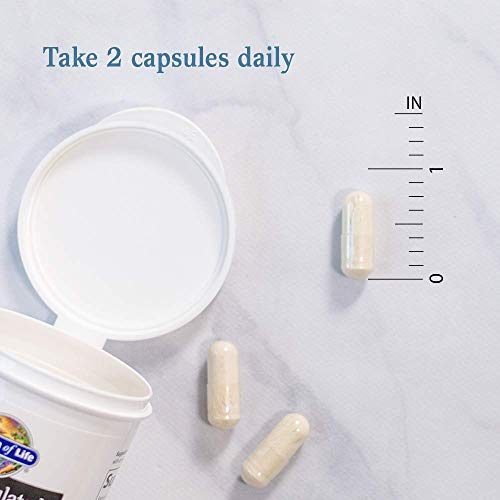 Garden of Life Dr. Formulated Probiotics Platinum Series Restore 200 Billion CFU High Potency Formula, Vegan, Non-GMO, Gluten, Dairy & Soy Free Digestive Immune Probiotic Support, 28 Capsules - Image 8