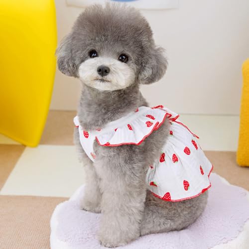 Vestidos para cães pequenos, meninas, 100% algodão, roupas para cães com coleira e decoração de laço