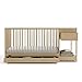 Graco Teddi 5-in-1 Convertible Crib & Changer with Drawer (Driftwood) – GREENGUARD Gold Certified Baby Crib Crafted from Wood, Converts to Toddler Bed, Daybed, and Full-Size Bed