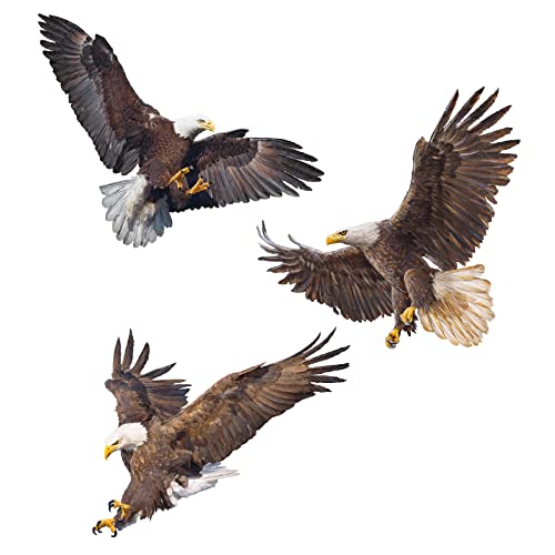 PLIGREAT 3 Pcs Flying Bald Eagles Birds Wall Stickers