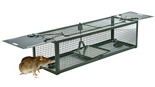 Live Animal Humane Trap 2-Door Mouse Trap Cage For Chipmunk, Rats, Squirrels, Voles, Rodent And Small Size Pests #TOP1